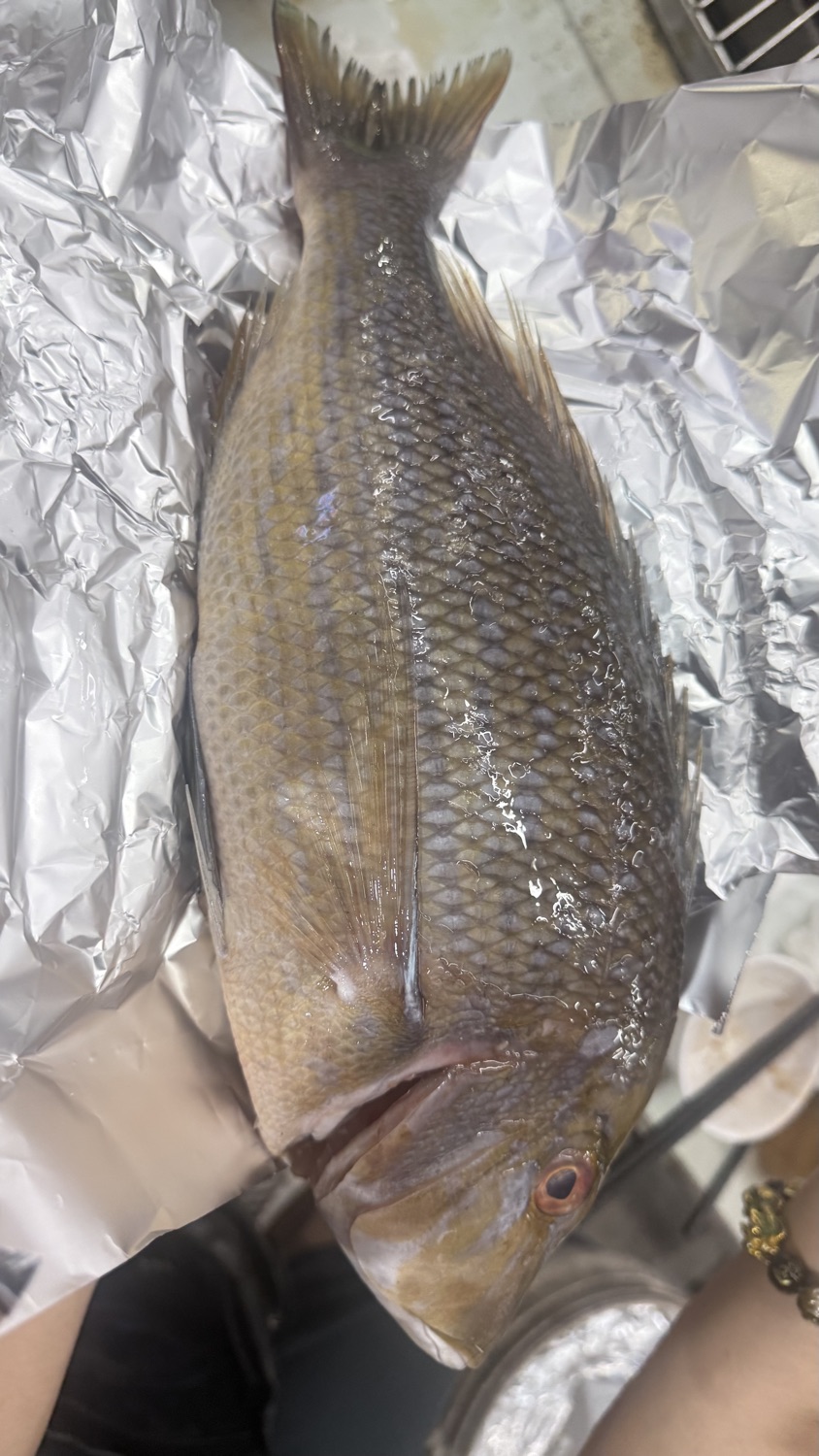 阿香澎湖碳烤