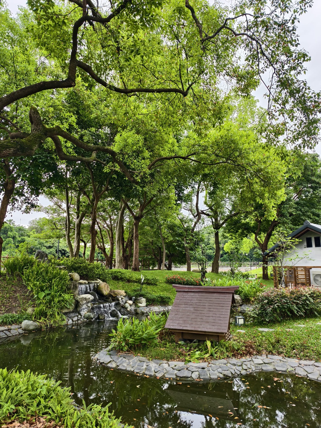 花蓮將軍府1936(免預約入園，加LINE官方好友享優惠)