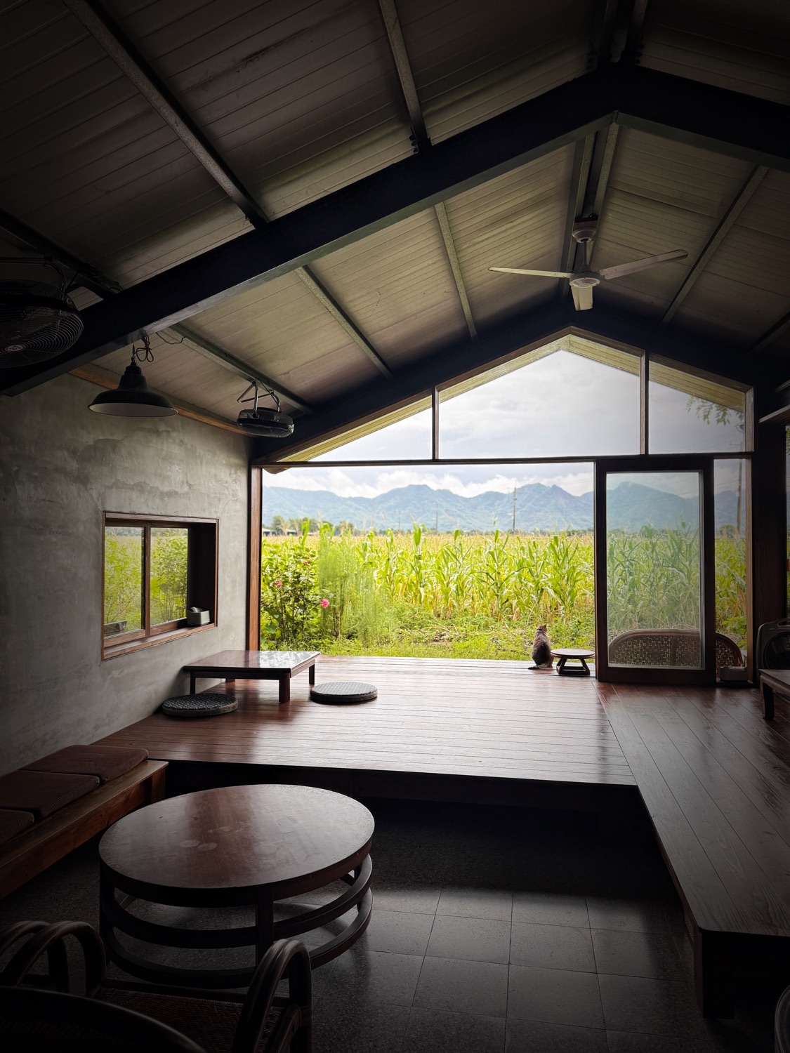 咕便所コーヒー