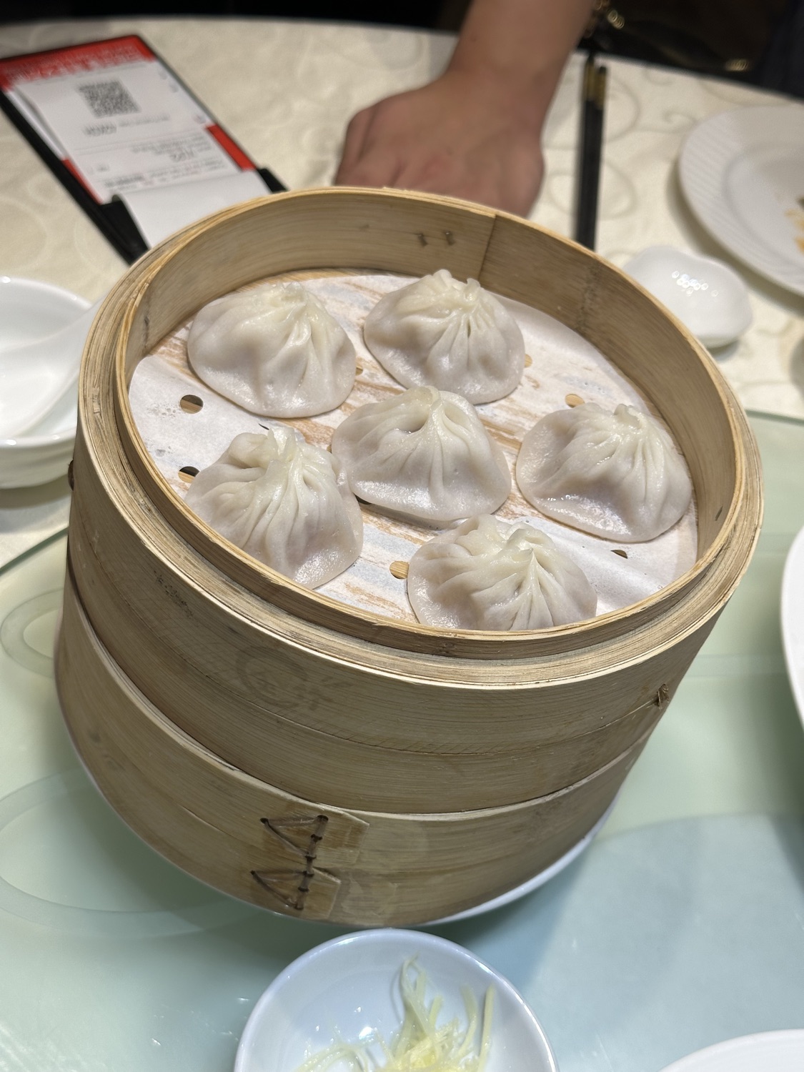 籠的傳人 Dragon-i