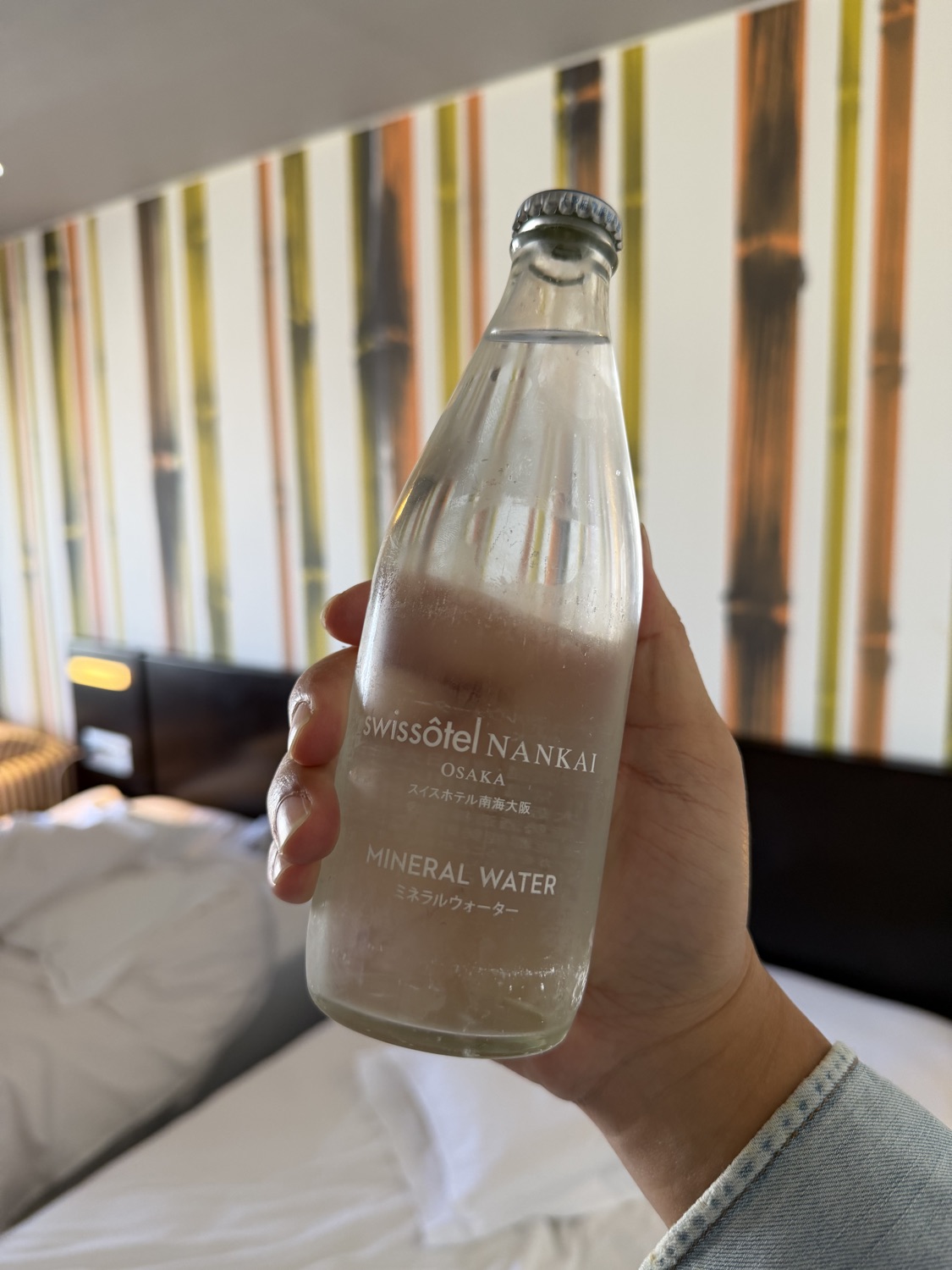 大阪南海瑞士酒店