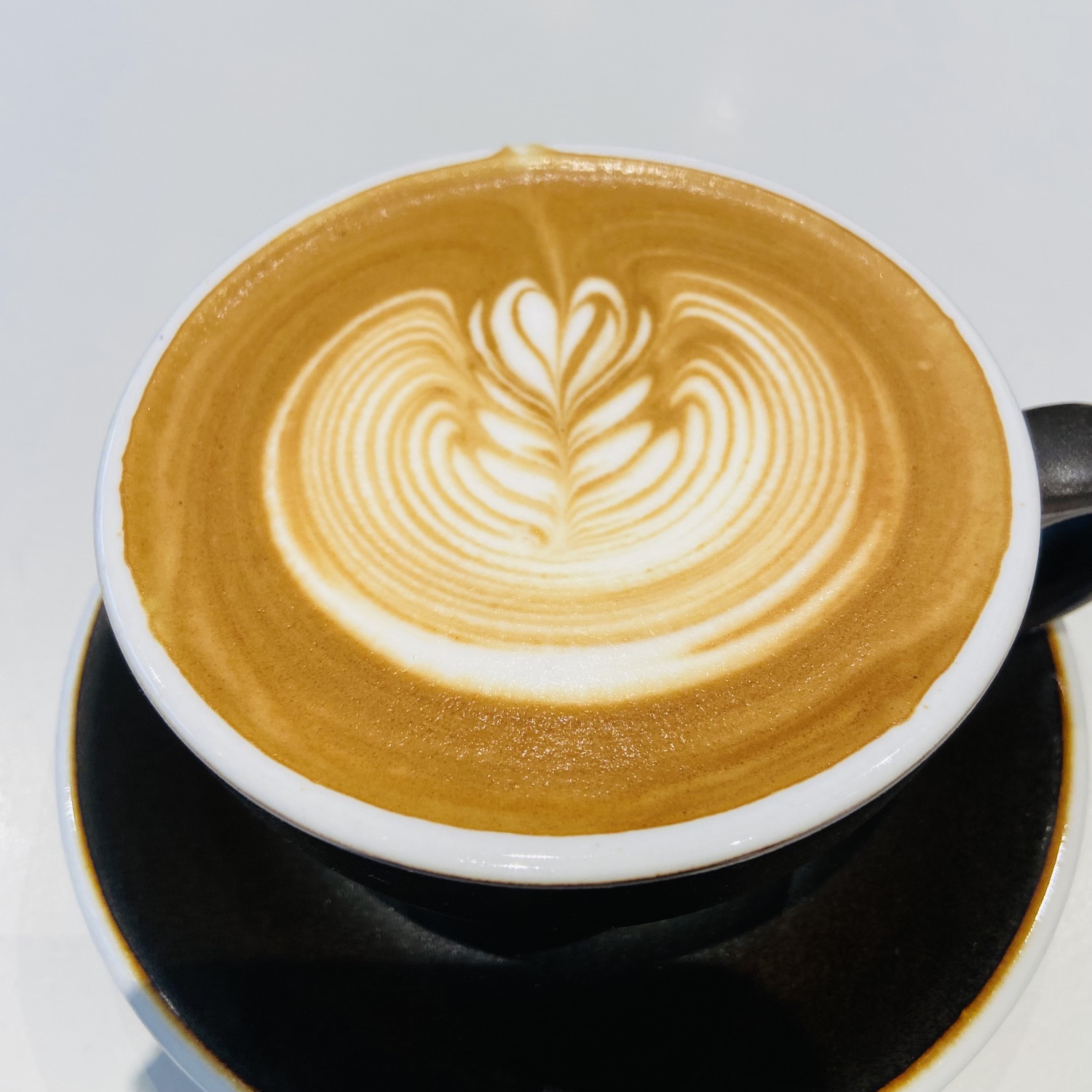 B.COFFEEdax