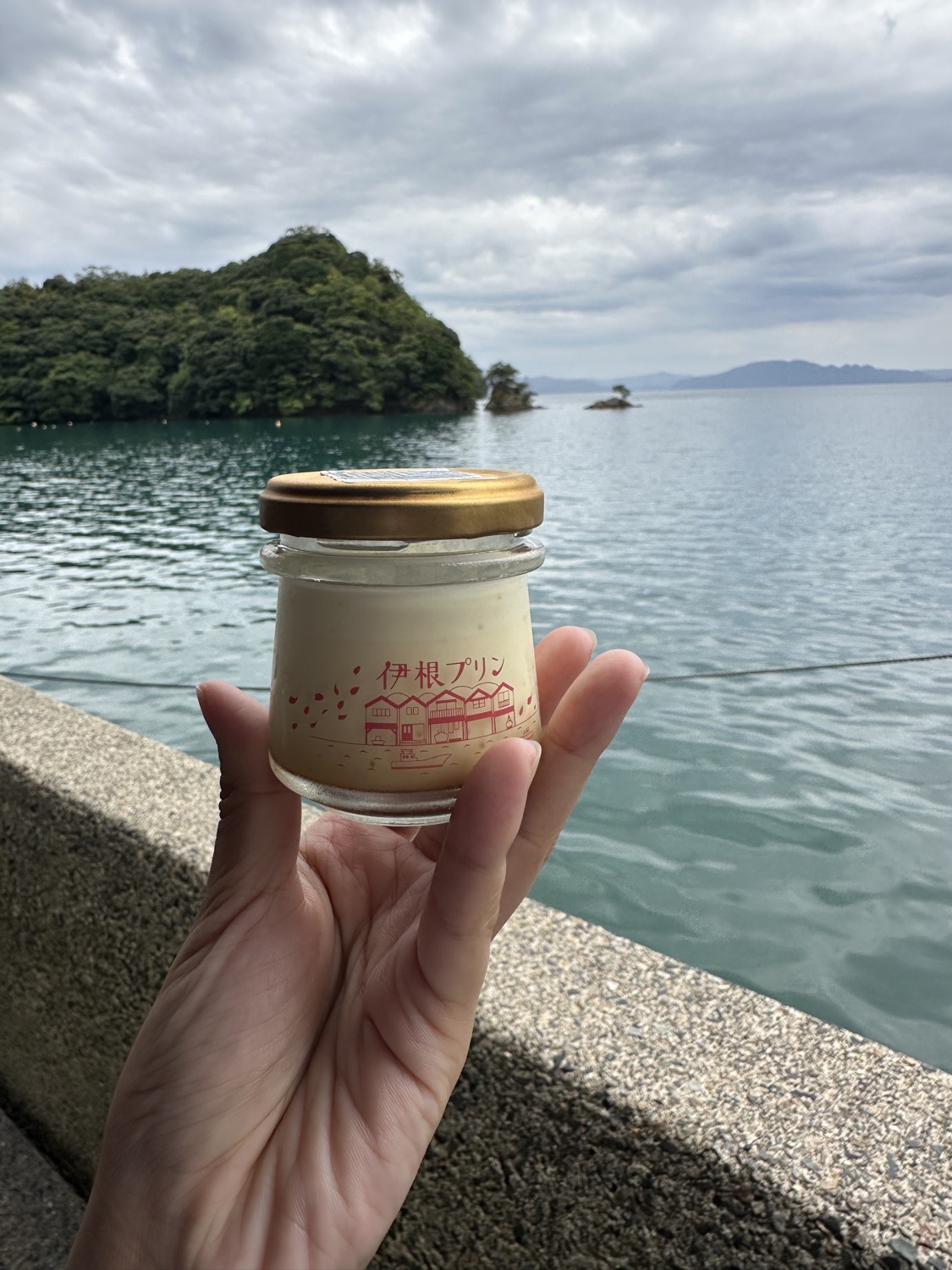 伊根灣賞景觀光船