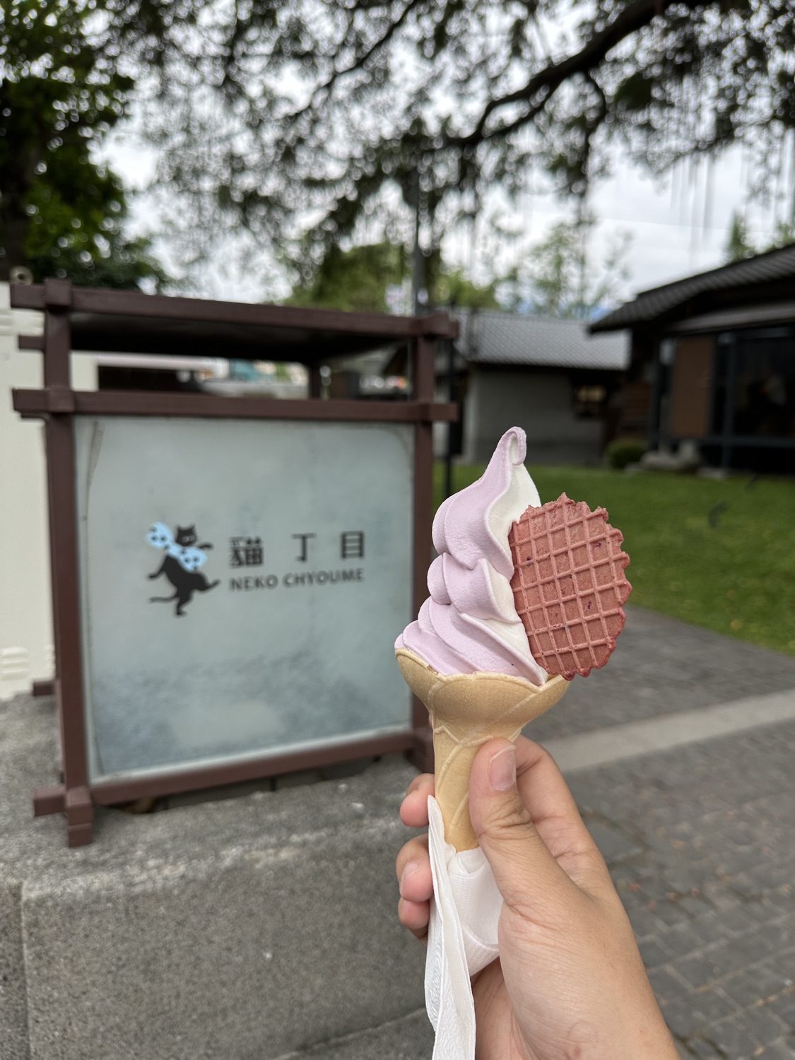 貓丁目